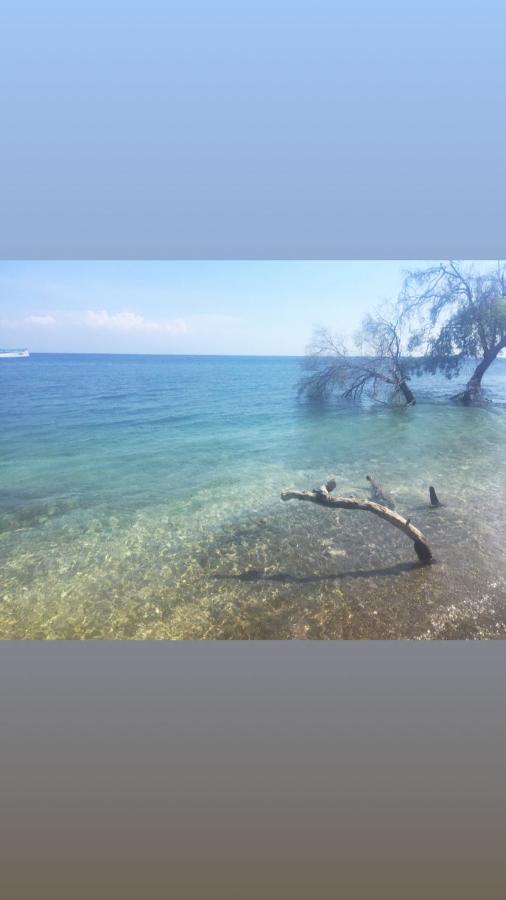 Maleo Moyo Hotel & Dive Resort Moyo Island 外观 照片