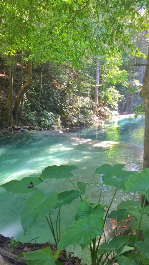 Maleo Moyo Hotel & Dive Resort Moyo Island 外观 照片