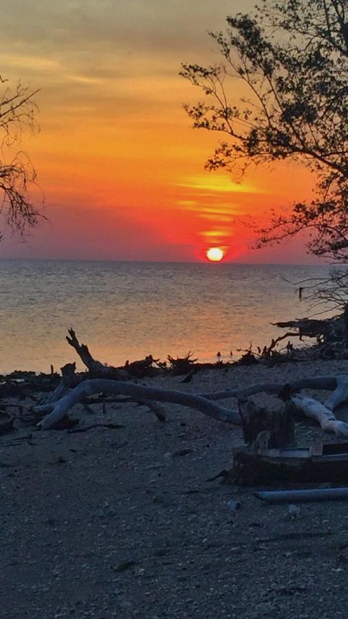Maleo Moyo Hotel & Dive Resort Moyo Island 外观 照片