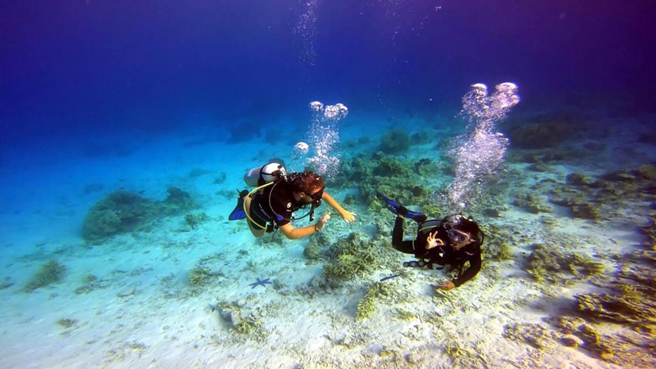 Maleo Moyo Hotel & Dive Resort Moyo Island 外观 照片